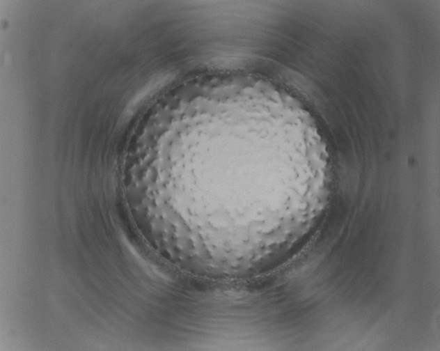 X0000067940586200604272036