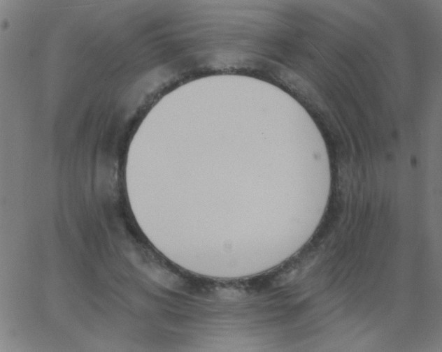 X0000067940592200604272036