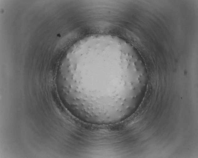 X0000067940594200604272036