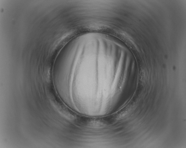 X0000067940596200604272036