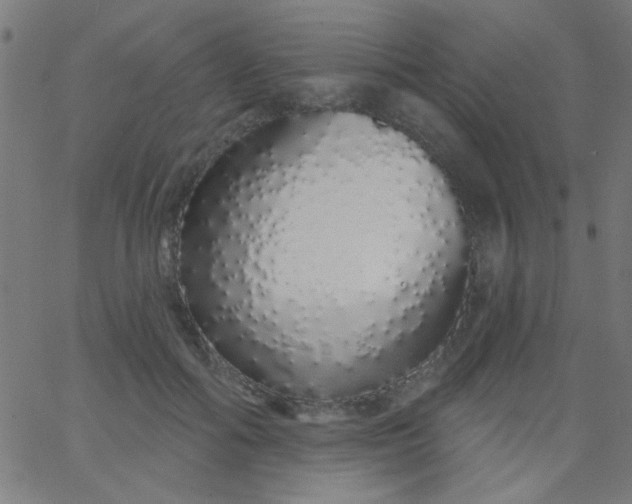 X0000067940602200604272036