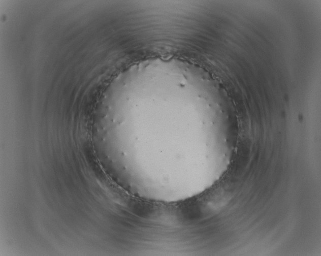 X0000067940606200604272036