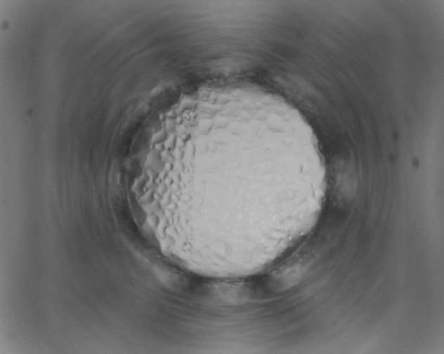 X0000067940615200604272036
