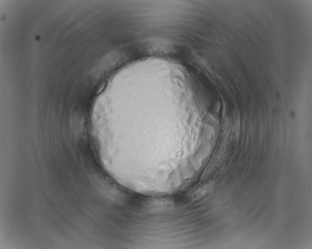 X0000067940619200604272036