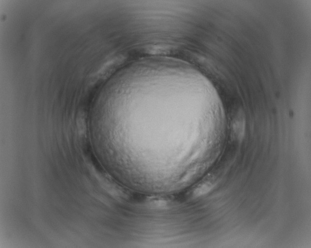 X0000067940620200604272036