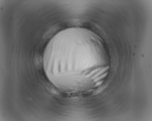 X0000067940624200604272036