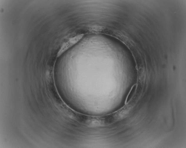 X0000067940655200604272035