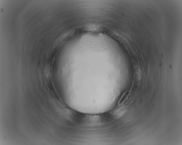X0000067940665200604272035