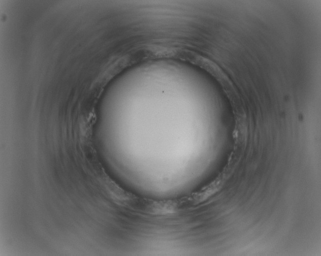 X0000067940667200604272035