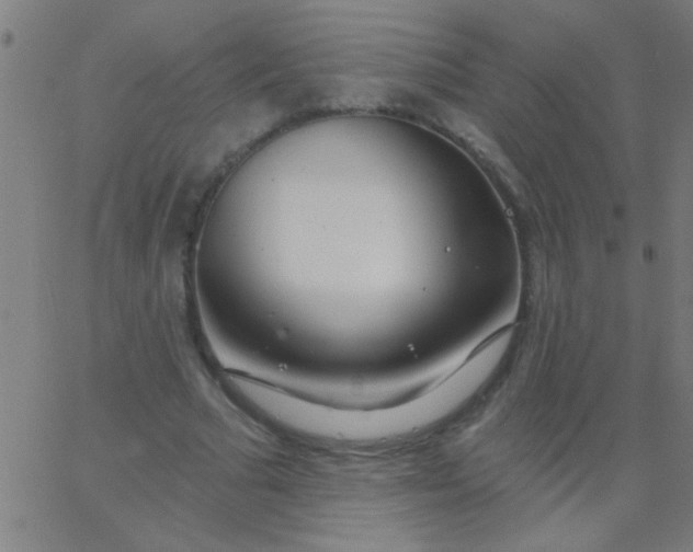 X0000067940681200604272035
