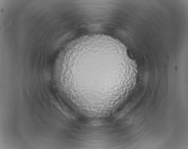 X0000067940710200604272034