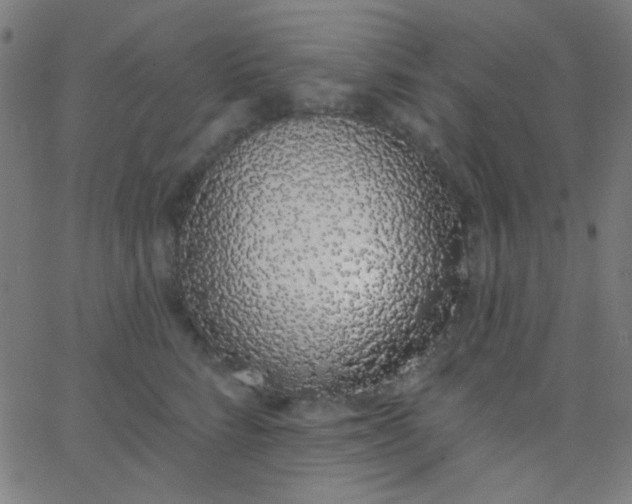 X0000067940712200604272034