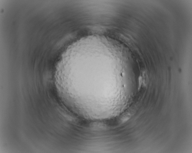 X0000067940714200604272034