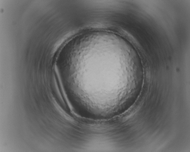 X0000067940725200604272033