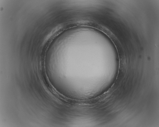 X0000067940734200604272033