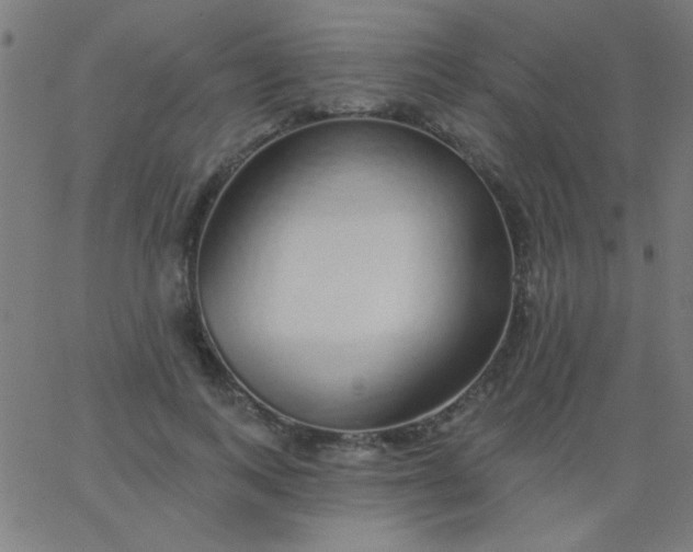 X0000067940743200604272034