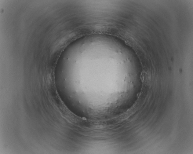 X0000067940746200604272034