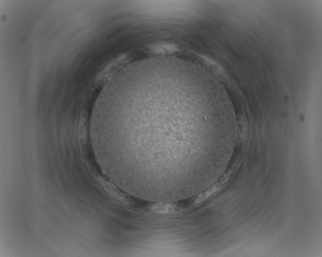 X0000067940762200604272034