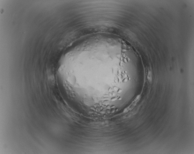X0000067940771200604272033