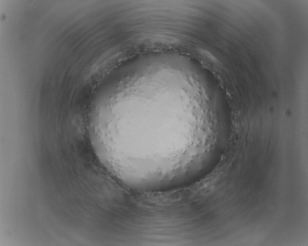X0000067940774200604272033