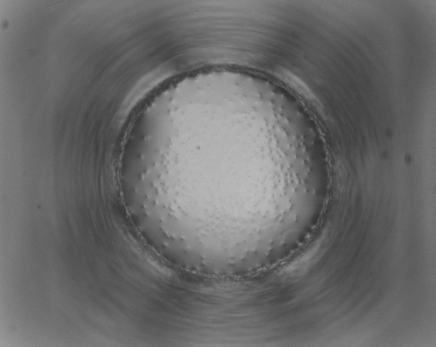 X0000067940782200604272033