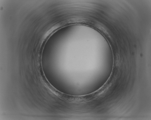 X0000067940786200604272033
