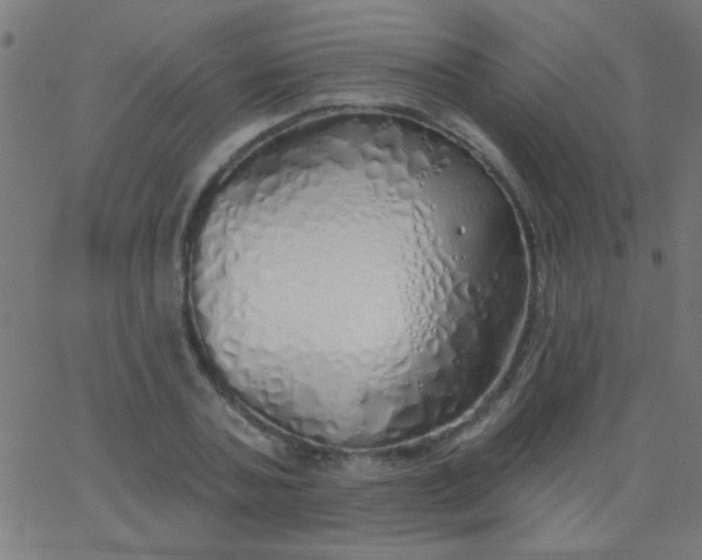 X0000067940787200604272033