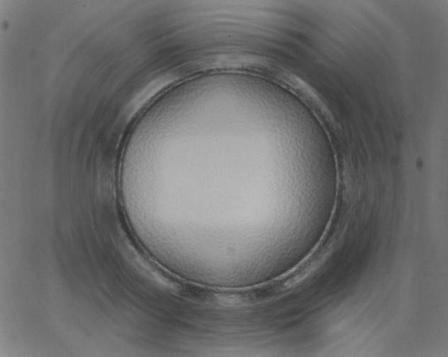 X0000067940794200604272033