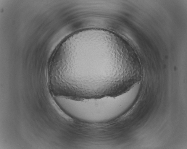 X0000067940796200604272033