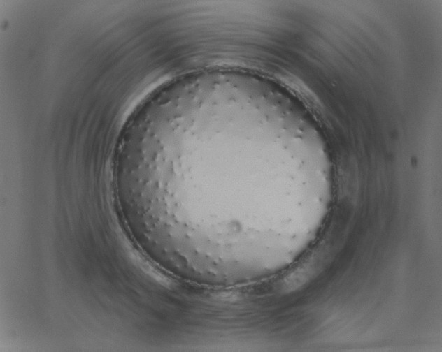 X0000067940798200604272033
