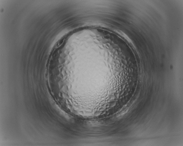 X0000067940799200604272033