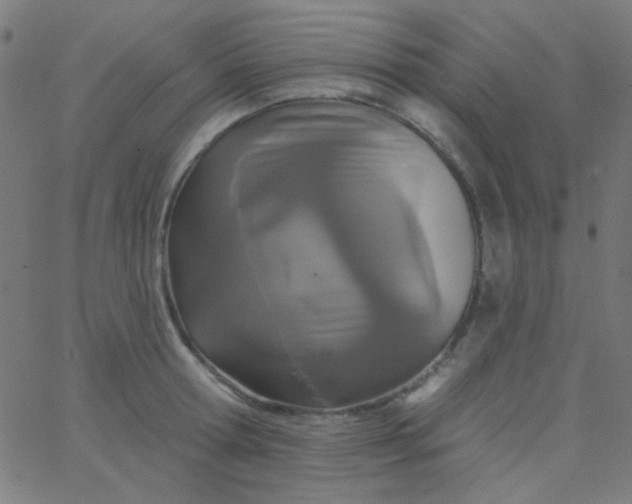 X0000067940802200604272033