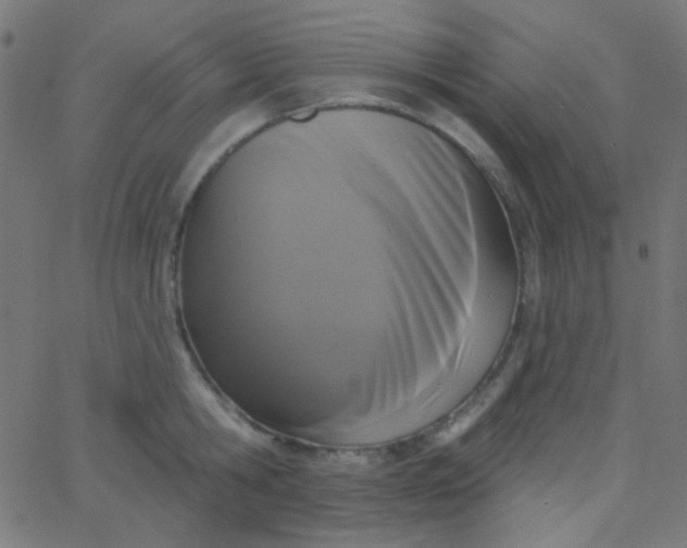 X0000067940806200604272033