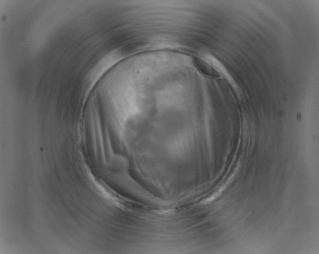 X0000067940810200604272033