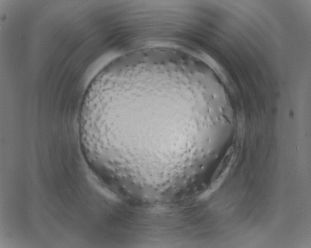 X0000067940814200604272032