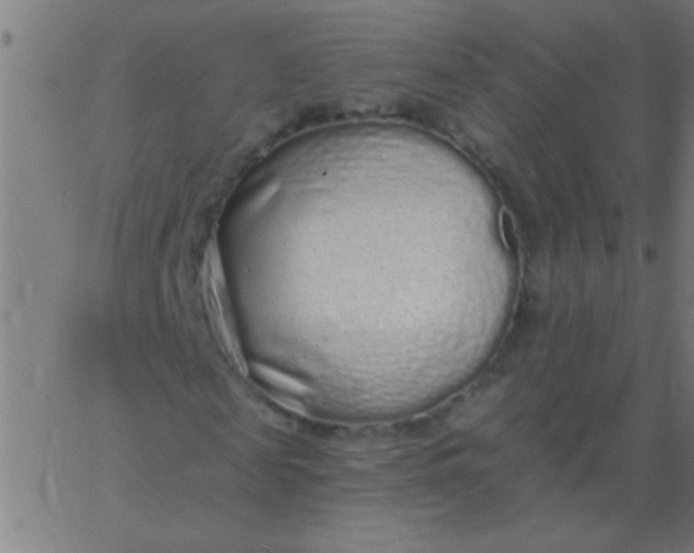 X0000067940817200604272032