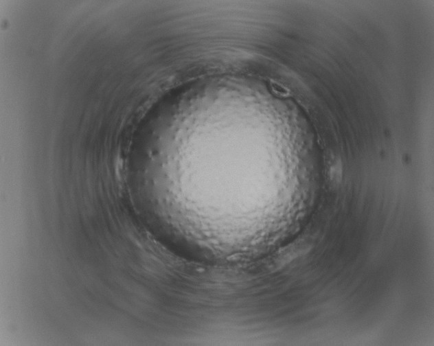X0000067940819200604272032