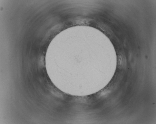 X0000067940820200604272032
