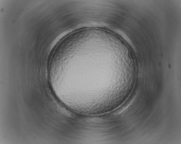 X0000067940837200604272032