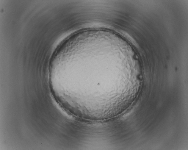 X0000067940839200604272032