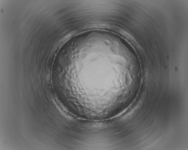 X0000067940841200604272032
