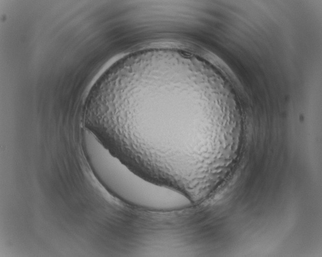 X0000067940852200604272032