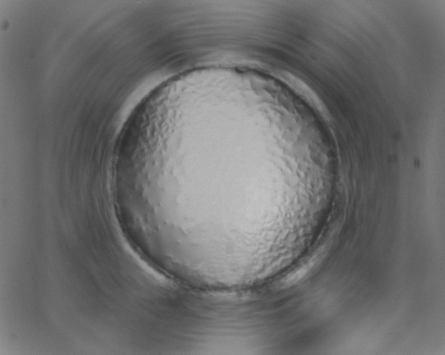 X0000067940855200604272032