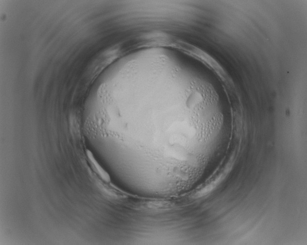 X0000067940857200604272032