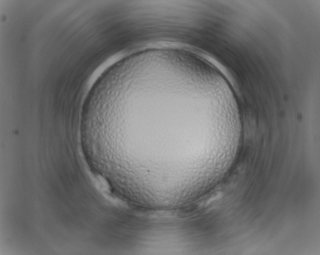 X0000067940861200604272032