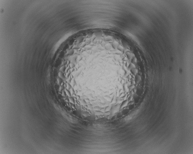 X0000067940875200604272031