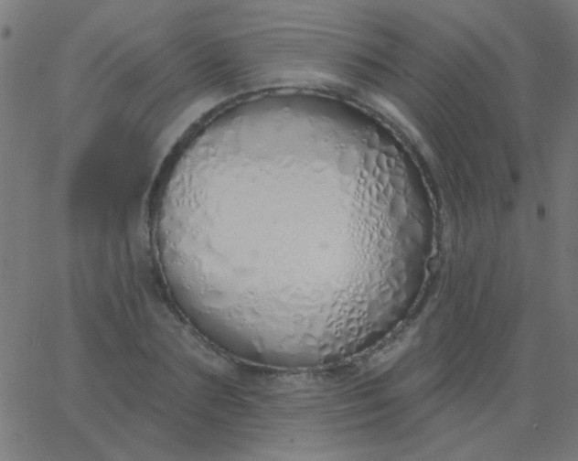 X0000067940883200604272031
