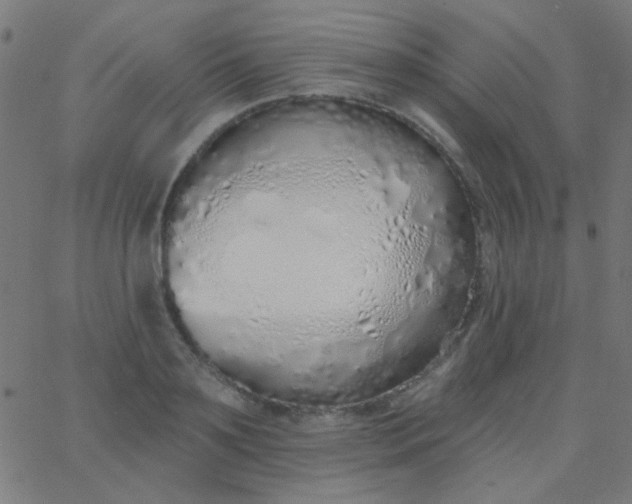 X0000067940891200604272031