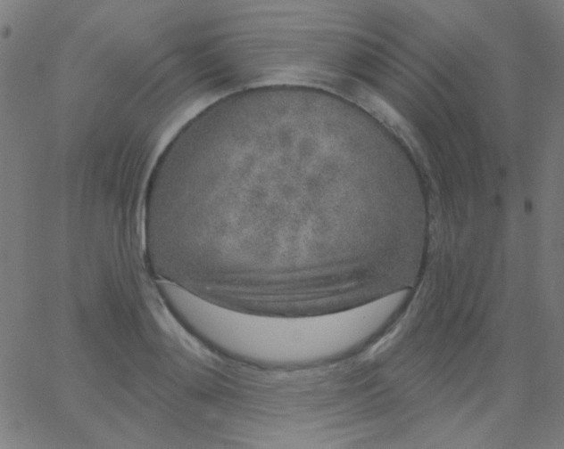 X0000067940892200604272031