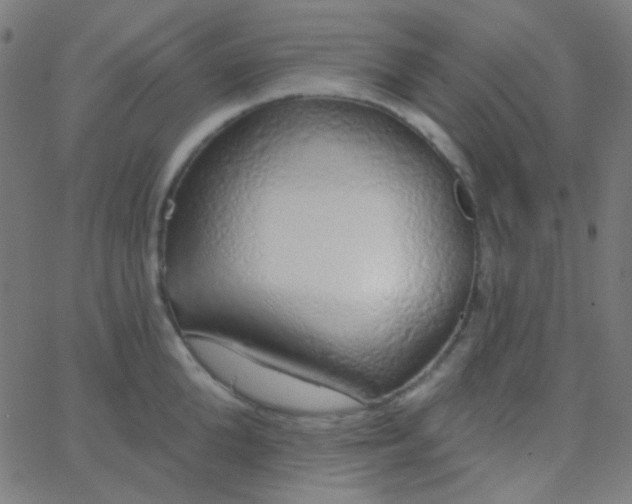 X0000067940904200604272031